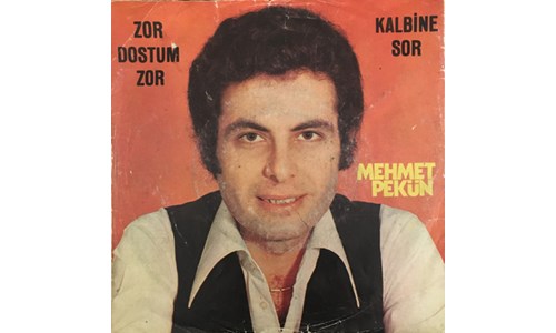 ZOR DOSTUM ZOR  (MEHMET PEKÜN)